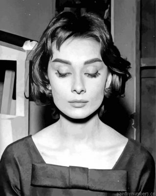 Beautiful Hepburn Painting By Numbers.png