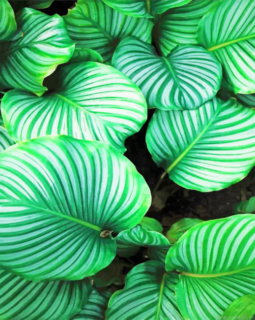 Beautiful Leaves Painting By Numberss.png