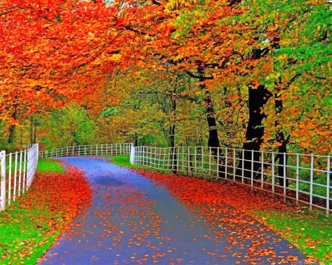 Beautiful Nature Painting By Numberss.png