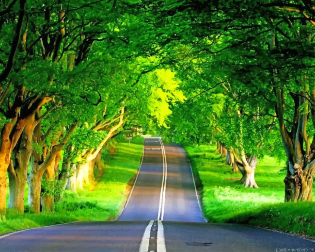 Beautiful Nature Road Painting By Numberss.png