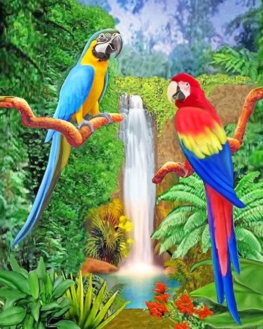 Beautiful Parrots Birds Painting By Numbers.png