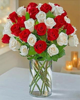 Beautiful Red And White Roses Painting By Numbers.png