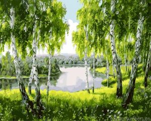 Beautiful Tree Painting By Numbers.png