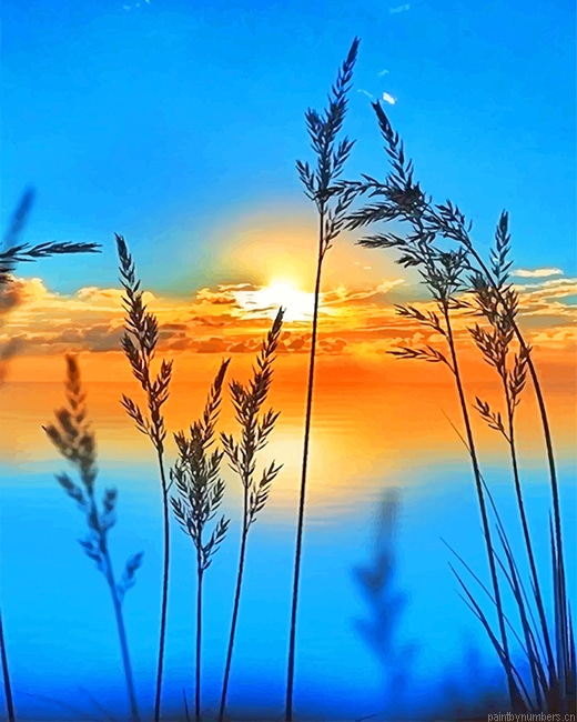 Beautiful View Landscapes Painting By Numberss.png