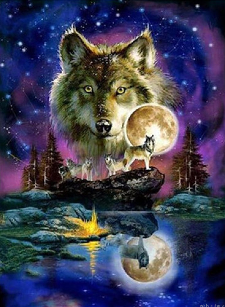 Beautiful Wolf And Moon Painting By Numberss.png