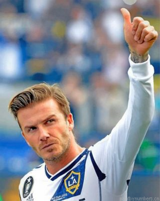 Beckham David Painting By Numbers.png
