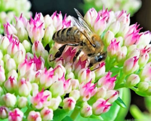 Bee On A Flower Painting By Numbers.png