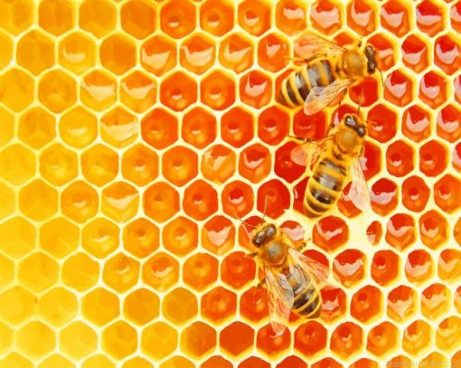 Bees In The Hive Painting By Numbers.png