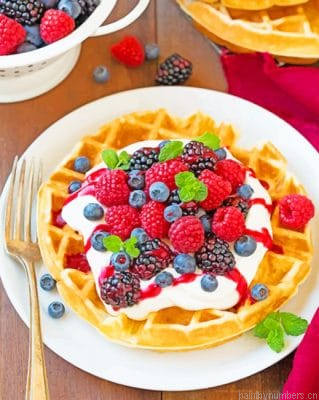 Belgian Waffle With Fruits Food Painting By Numbers.png