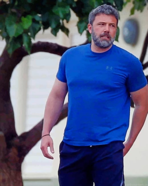Ben Affleck Celebrities Painting By Numberss.png