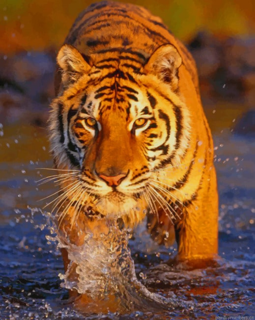 Bengal Tiger In The River Animals Painting By Numberss.png