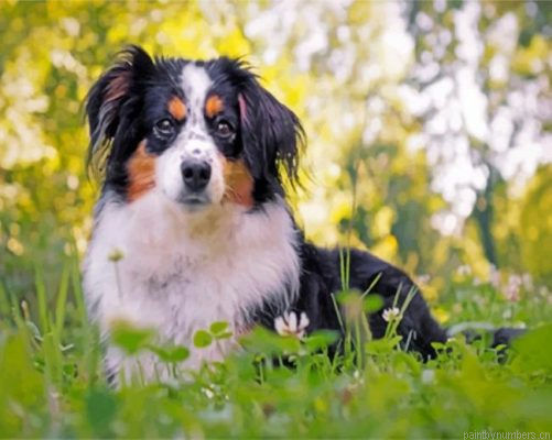 Berger Puppy Painting By Numbers.png
