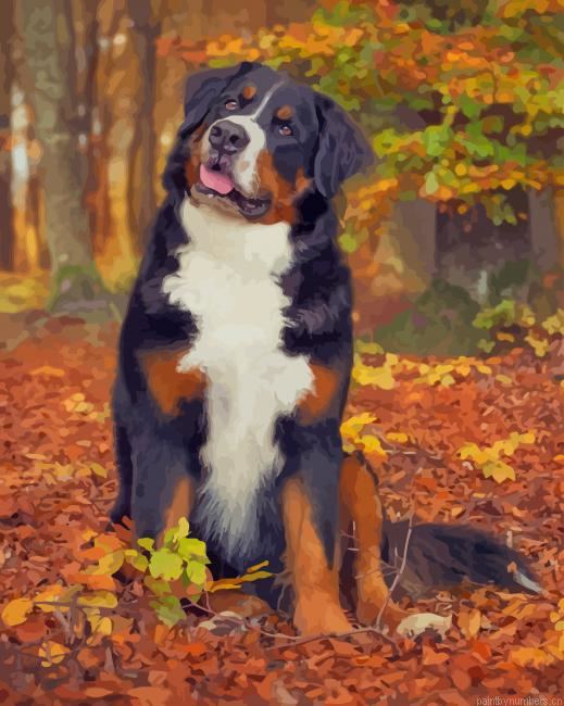 Bernese Mountain Dog Fall Painting By Numbers.png