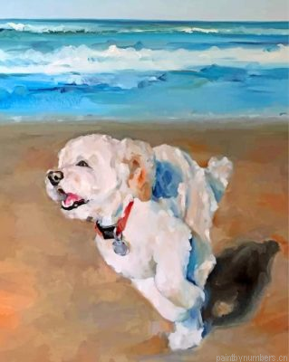 Bichon Frise Painting By Numbers.png