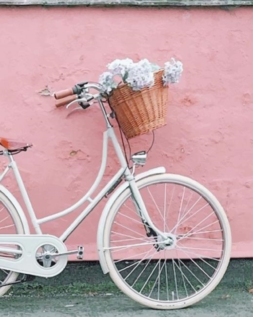 Bicycle With Flowers Basket Painting By Numbers.png