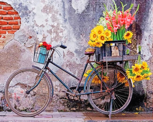 Bicycle With Flowers Painting By Numberss.png