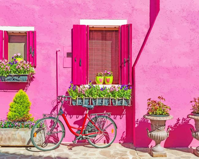 Bicycle And Pink House Painting By Numberss.png