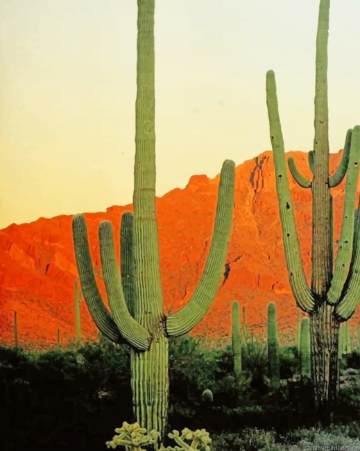 Big Cactus Mountains Plants Painting By Numbers.png