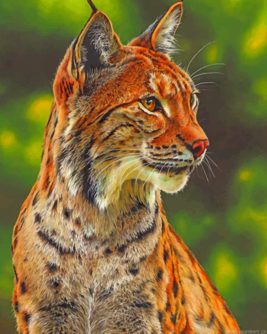 Big Cat In Forest Animals Painting By Numberss.png