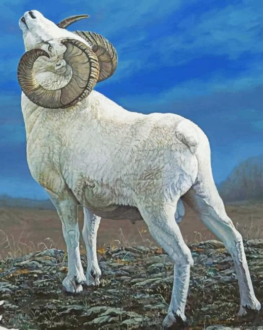 Big Horned Sheep Animals Painting By Numberss.png