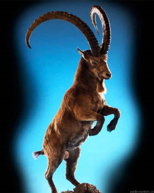 Big Horned Sheep Jumping Animals Painting By Numberss.png