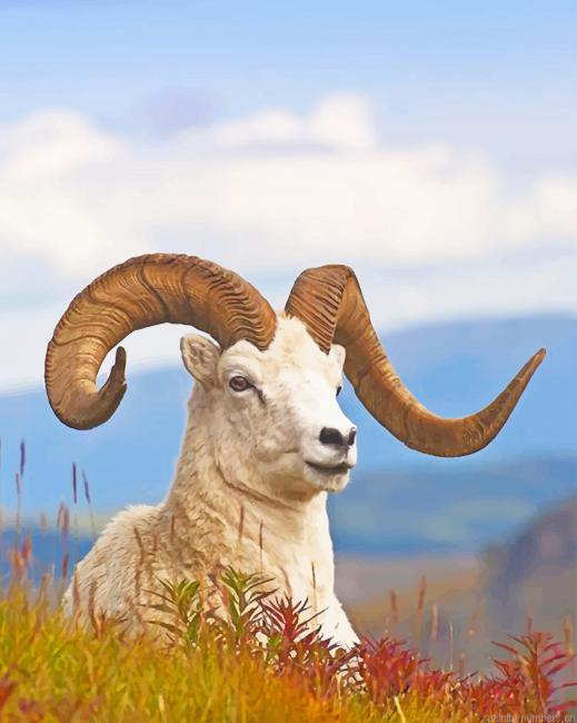 Big Horned Sheep Lying On Grass Animals Painting By Numberss.png