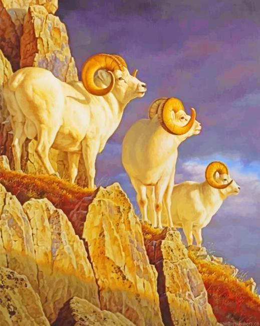 Big Horned White Sheep Animals Painting By Numberss.png
