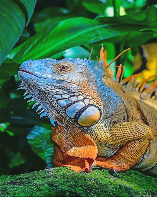 Big Iguana Reptiles Painting By Numberss.png