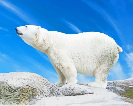 Big Polar Bear Painting By Numberss.png
