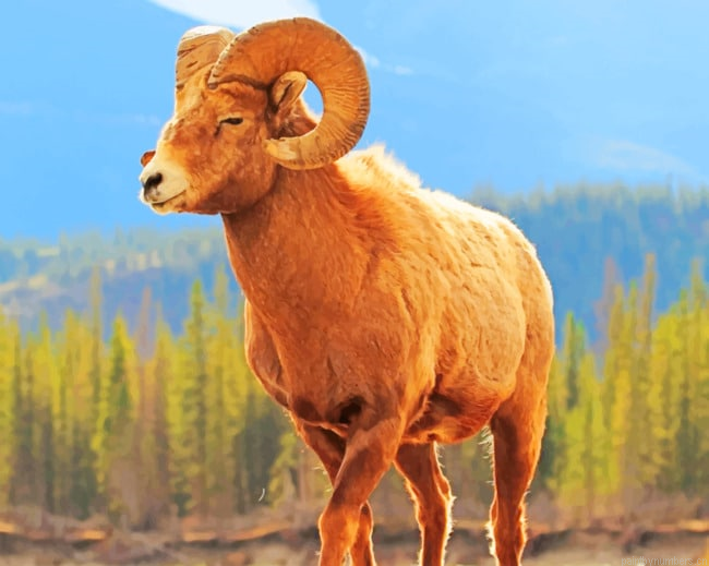Bighorn Sheep Animal New Painting By Numberss.png