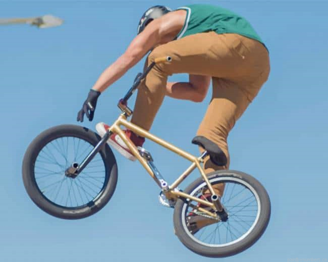 Bike Stand Sport Painting By Numberss.png