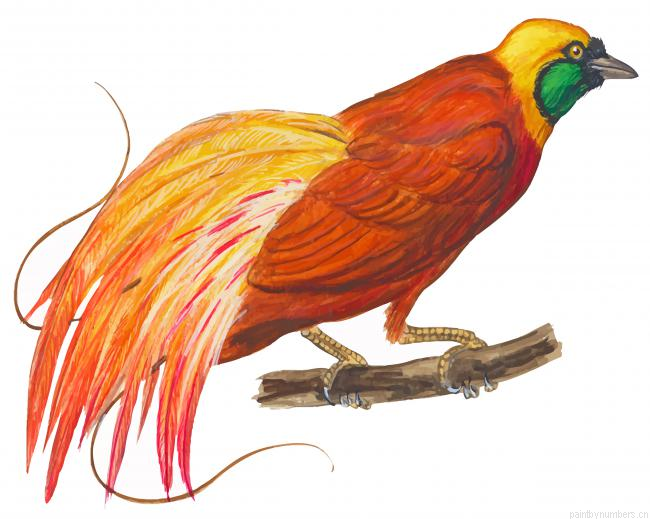 Bird Of Paradise Art Painting By Numberss.png