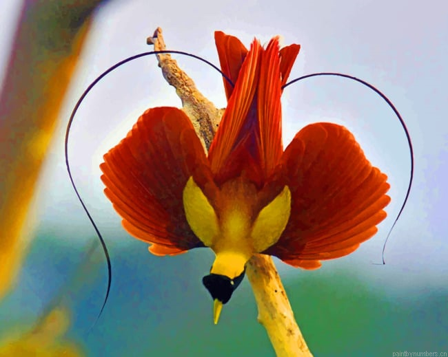 Bird Of Paradise Plants Painting By Numberss.png