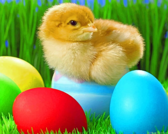 Bird On Colorful Eggs Painting By Numberss.png