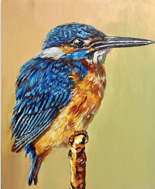 Bird With A Long Mouth Painting By Numberss.png