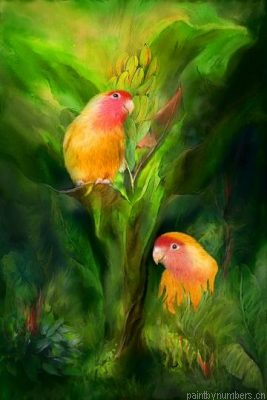 Birds Among The Orchids Painting By Numbers.png