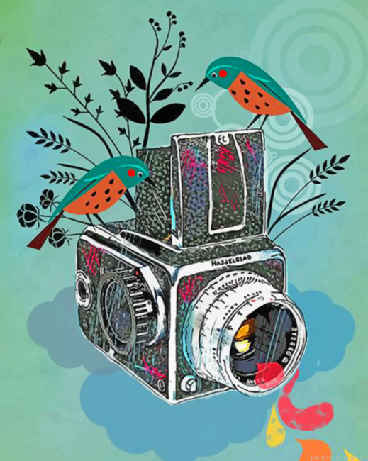 Birds And Camera Illustration Painting By Numbers.png
