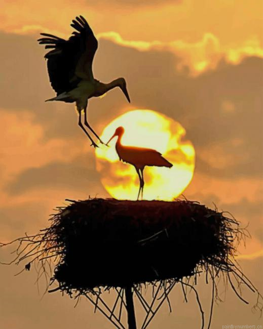 Birds Family Painting By Numberss.png