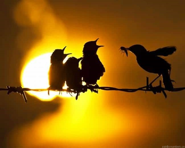 Birds Family Silhouette Painting By Numberss.png