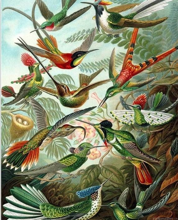 Birds Flock Painting By Numbers.png