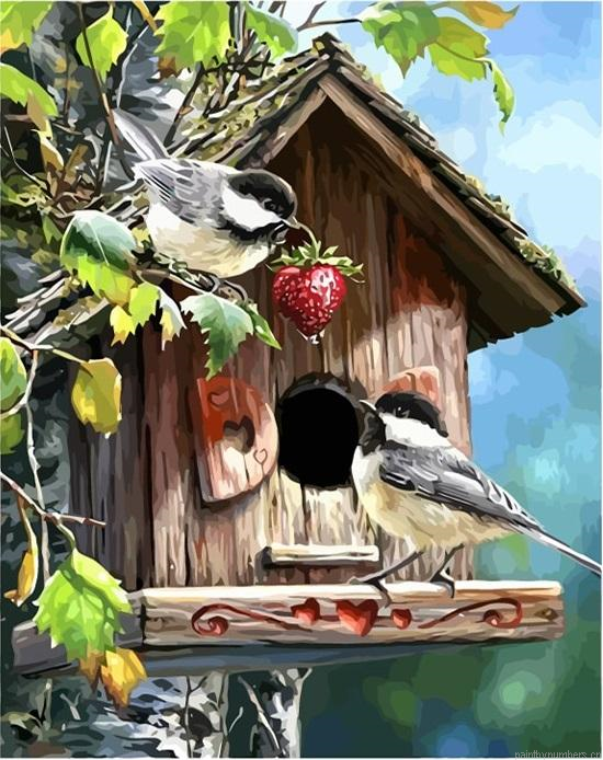 Birds House Painting By Numbers.png