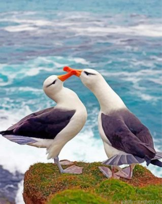 Birds In Love Painting By Numbers.png