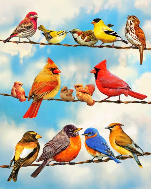 Birds On A Wire Painting By Numbers.png