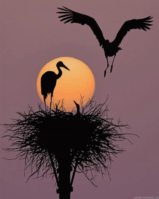 Birds Silhouette Painting By Numberss.png