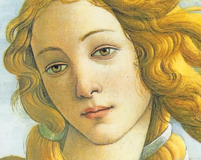 Birth Of Venus Painting By Numberss.png