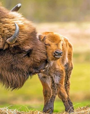 Bisons Little Family Painting By Numbers.png