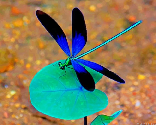 Black And Blue Dragonfly Painting By Numberss.png