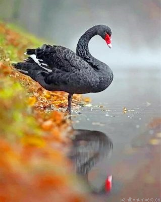 Black And Red Swan Painting By Numbers.png
