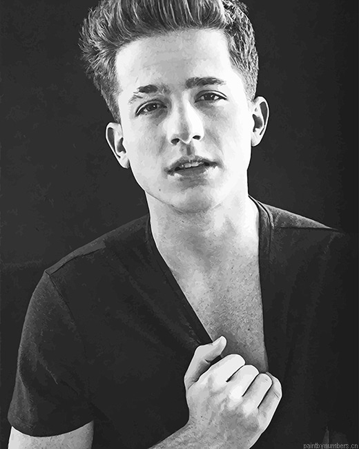 Black And Whit Charlie Puth Singers Painting By Numbers.png