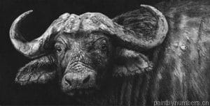 Black And White Buffalo Painting By Numberss.png